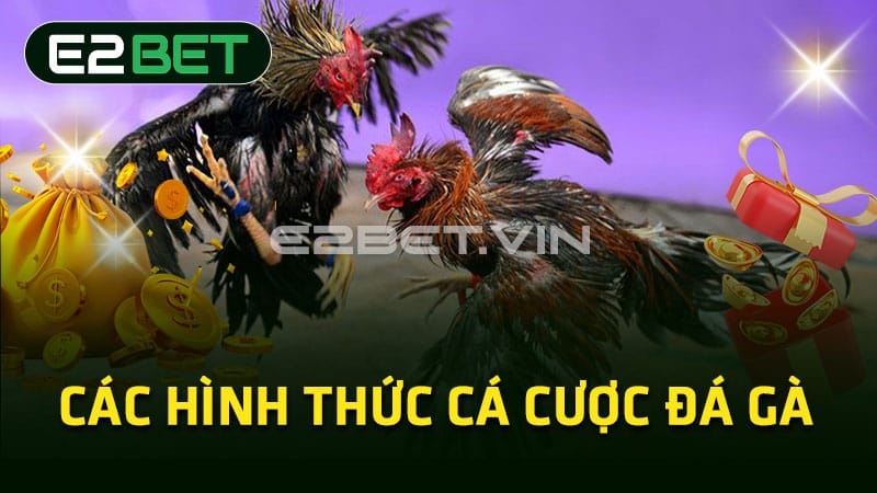 Các hình thức cá cượcđá gà 