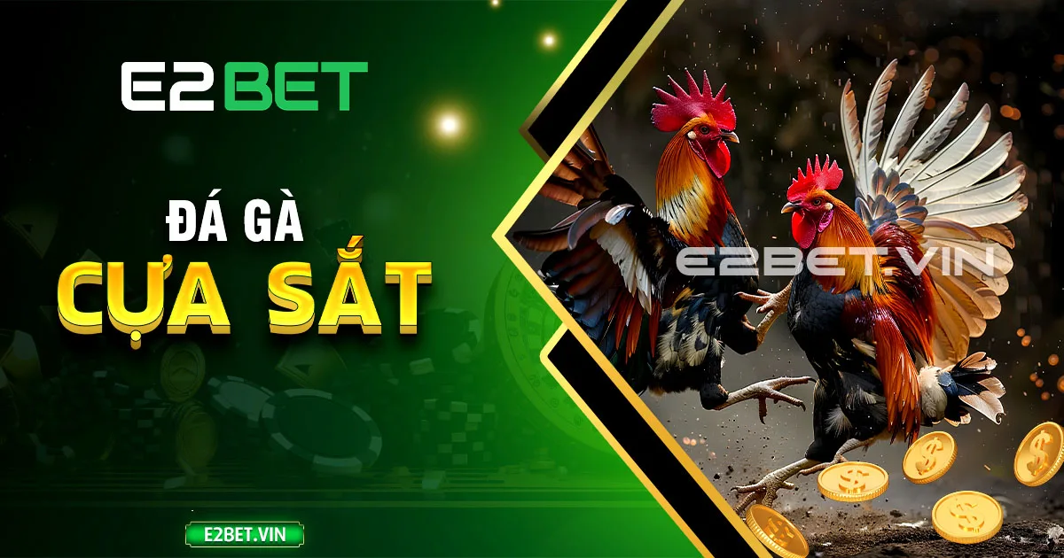 Đá gà cựa sắt