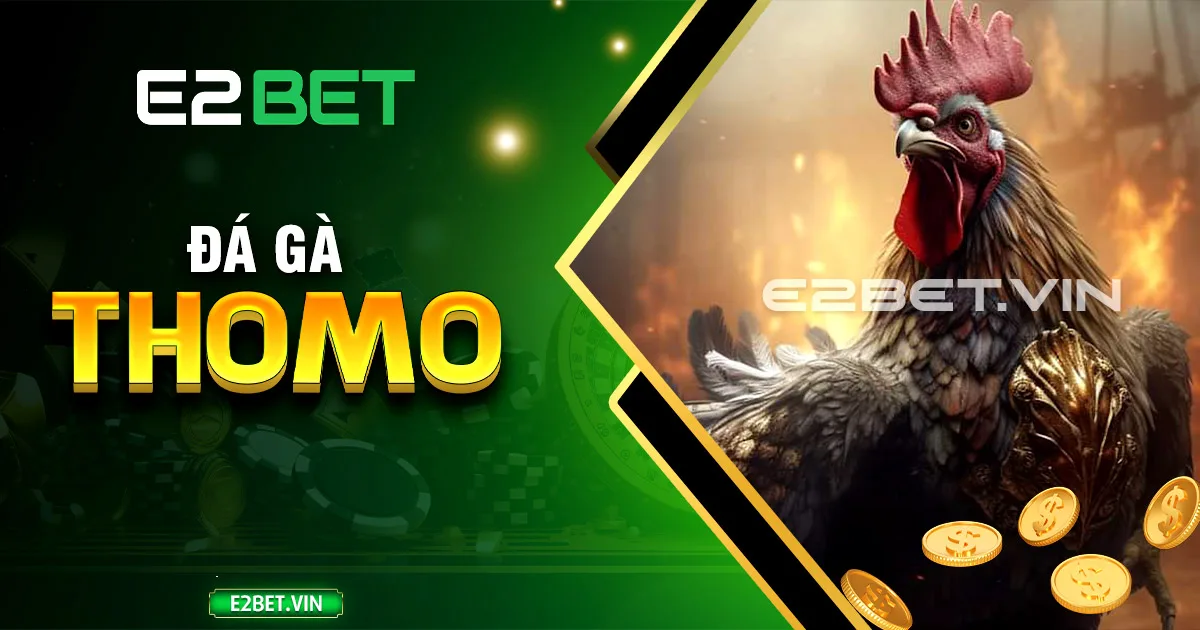 Đá gà Thomo