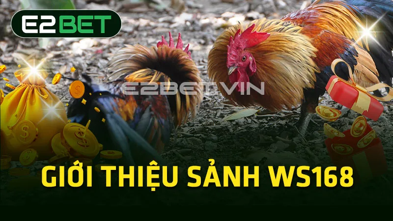 Giới thiệu sảnh WS168 Giới thiệu sảnh WS168