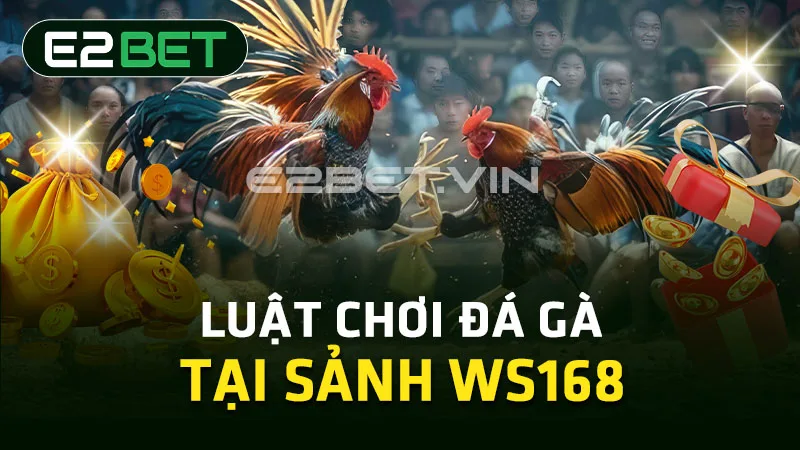 Luật chơi đá gà tại sảnh WS168 Luật chơi đá gà tại sảnh WS168