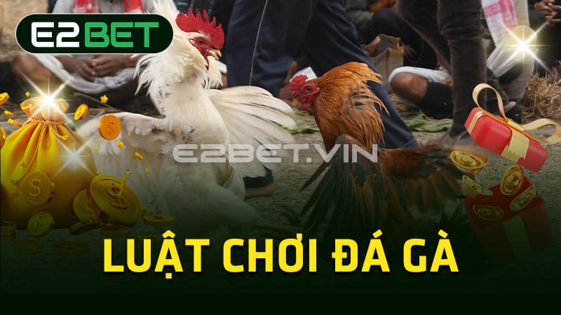 Luật chơi đá gà 