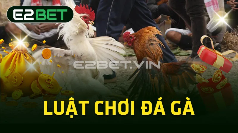 Luật chơi đá gà Luật chơi đá gà
